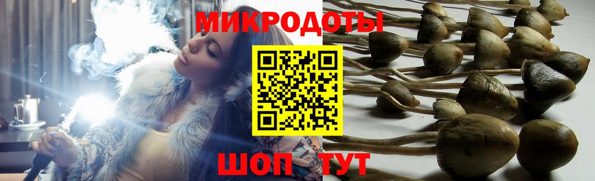 Галлюциногенные грибы мухоморы Клинцы